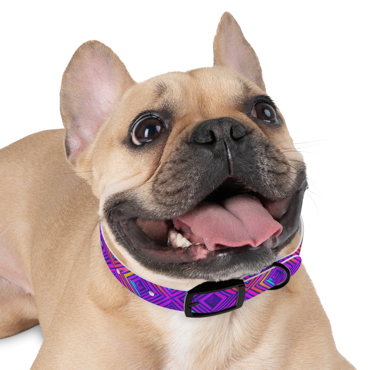 Color Gems Dog Collar