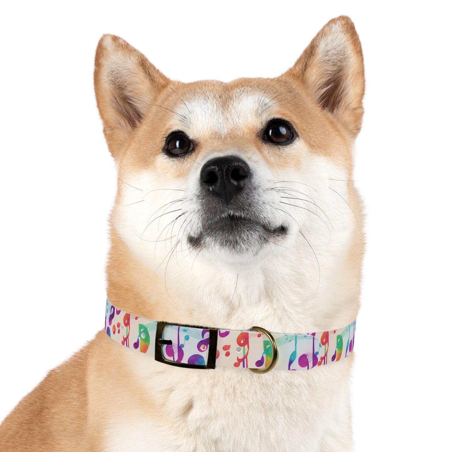 Vivid Vibrato Dog Collar