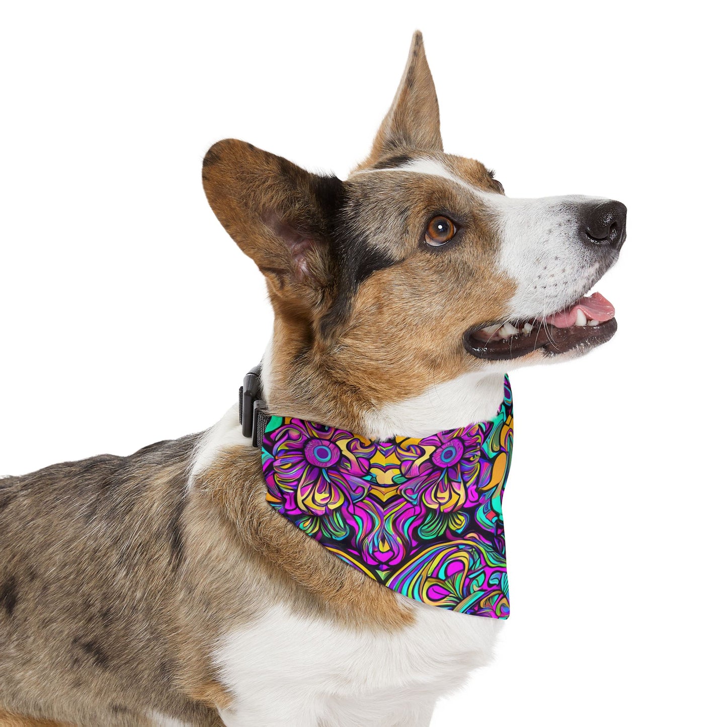 Psychedelic Chaos Pet Bandana Collar