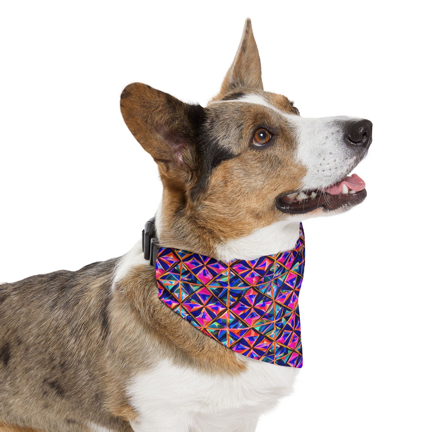 Tri-Fusion Pet Bandana Collar