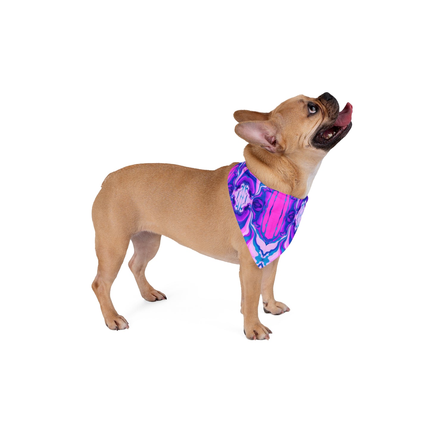 Marbled Magic Pet Bandana