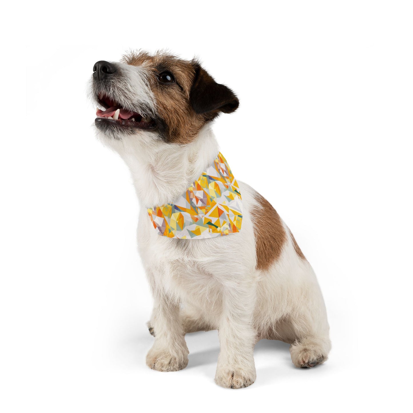 Polygon Prism Pet Bandana Collar