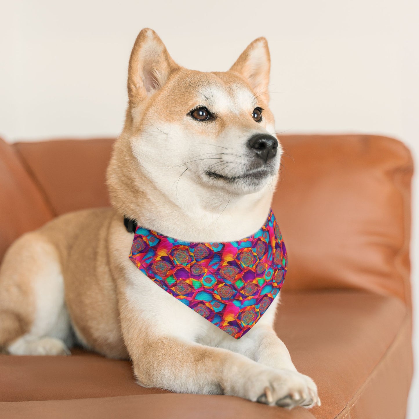 Hypnotic Harmony Pet Bandana Collar