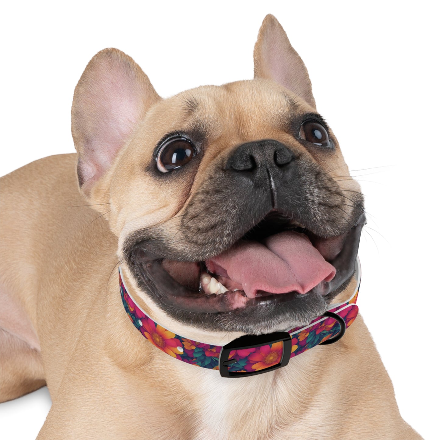 Daisy Delight Dog Collar