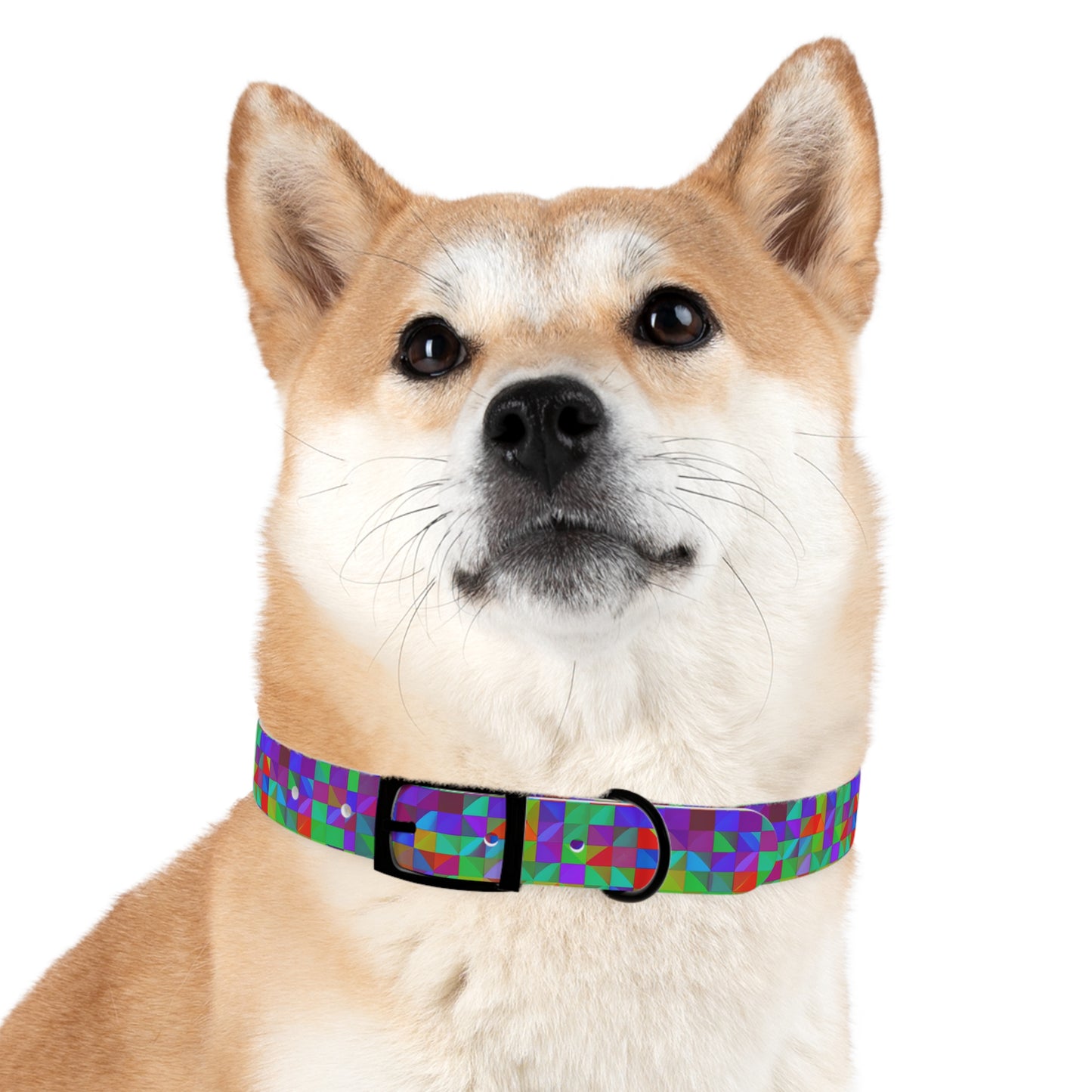 Prism Patterns Dog Collar