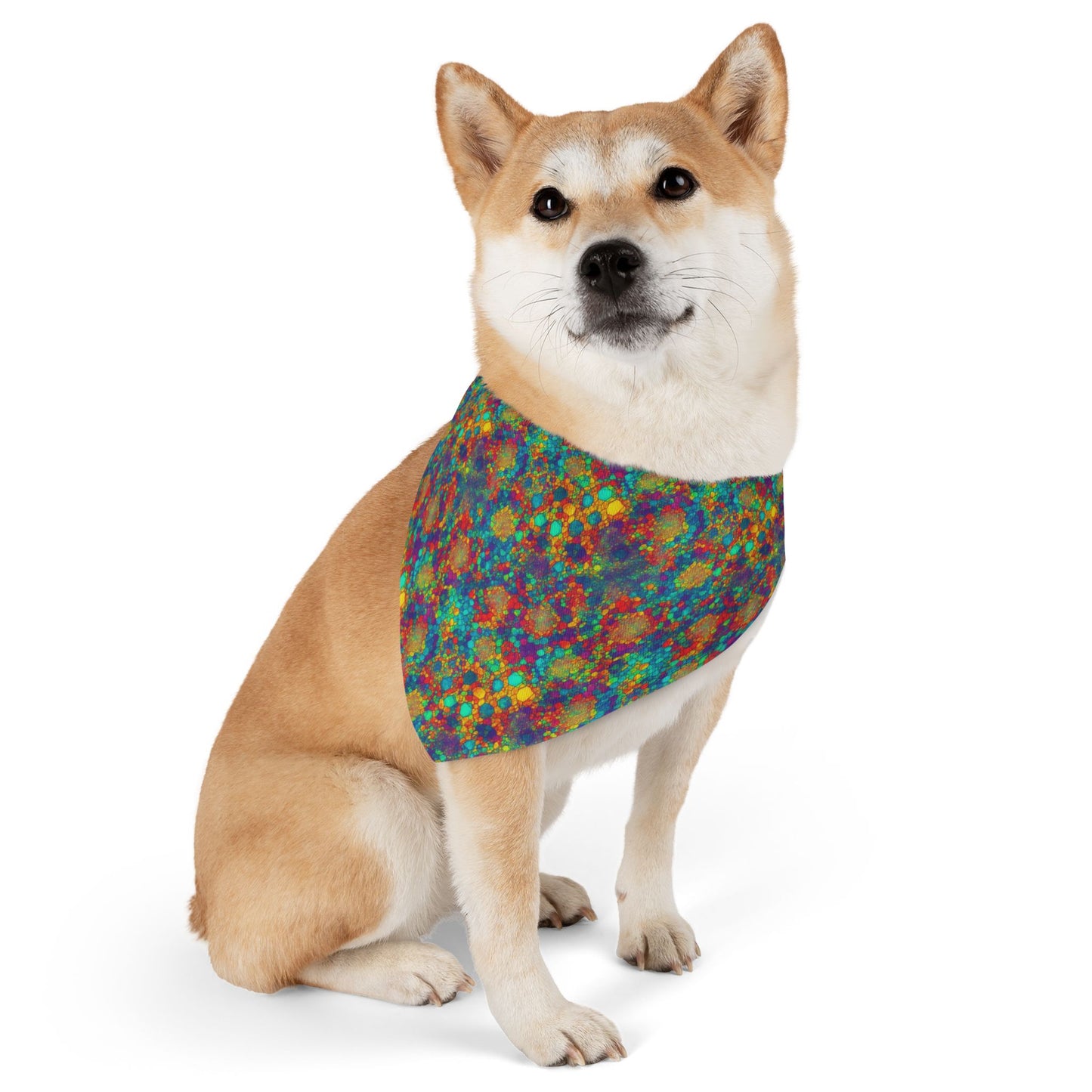 Mosaic Meledy Pet Bandana Collar