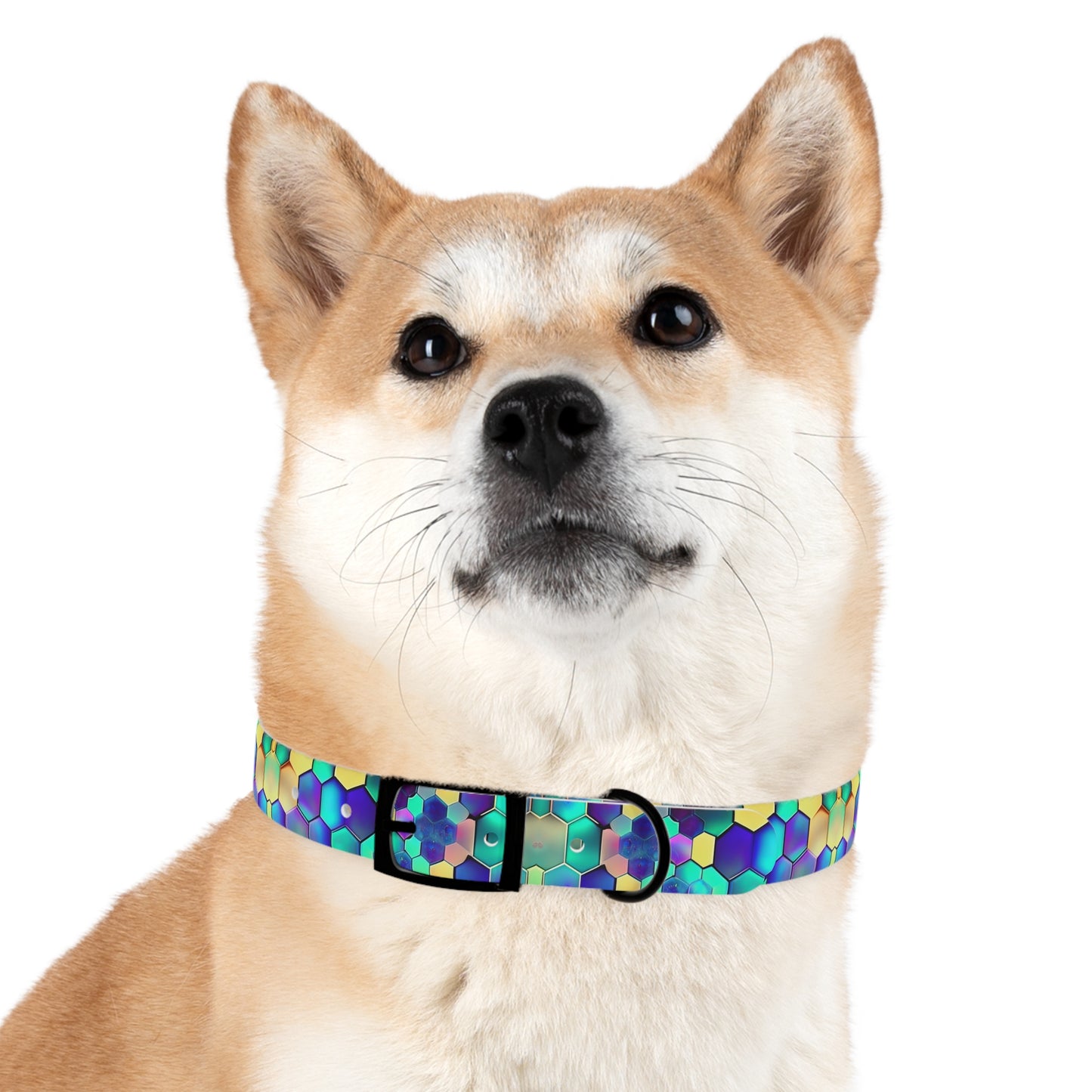 Vibrant Comb Dog Collar