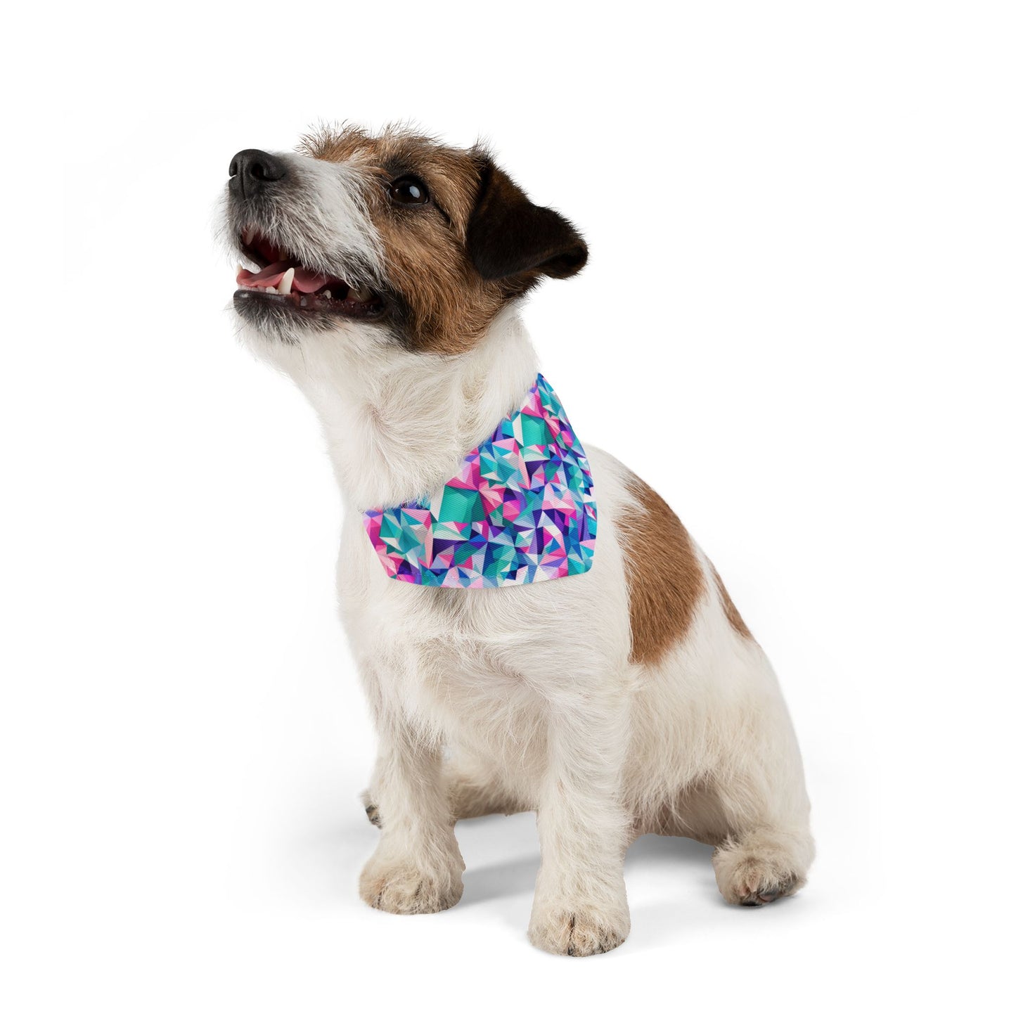 Fractal Flair Pet Bandana Collar