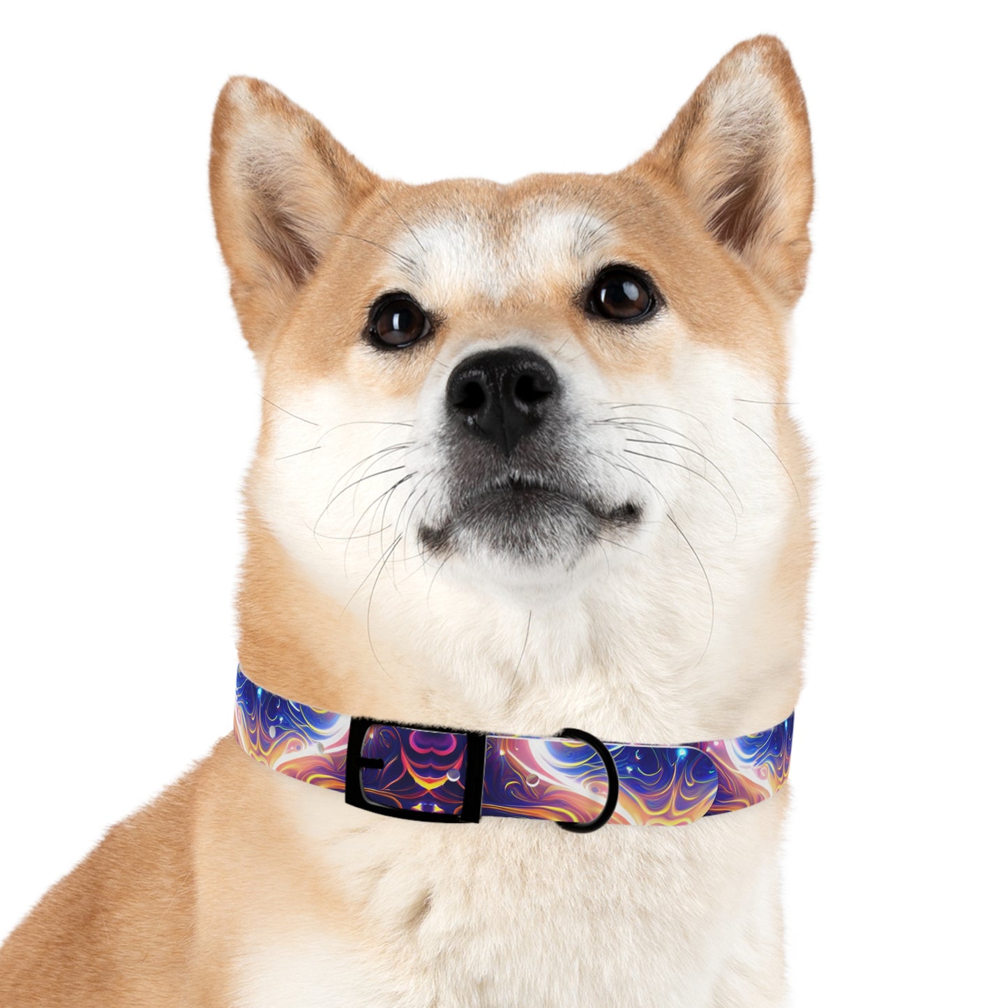 Neon Dreamscape Dog Collar