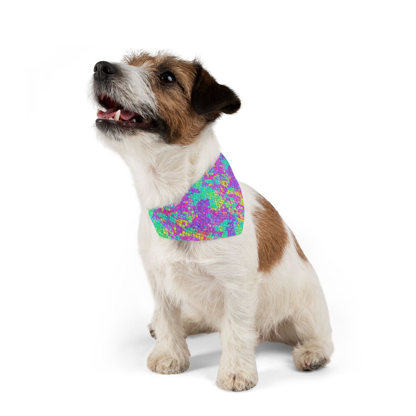 Fluid Fusion Pet Bandana Collar