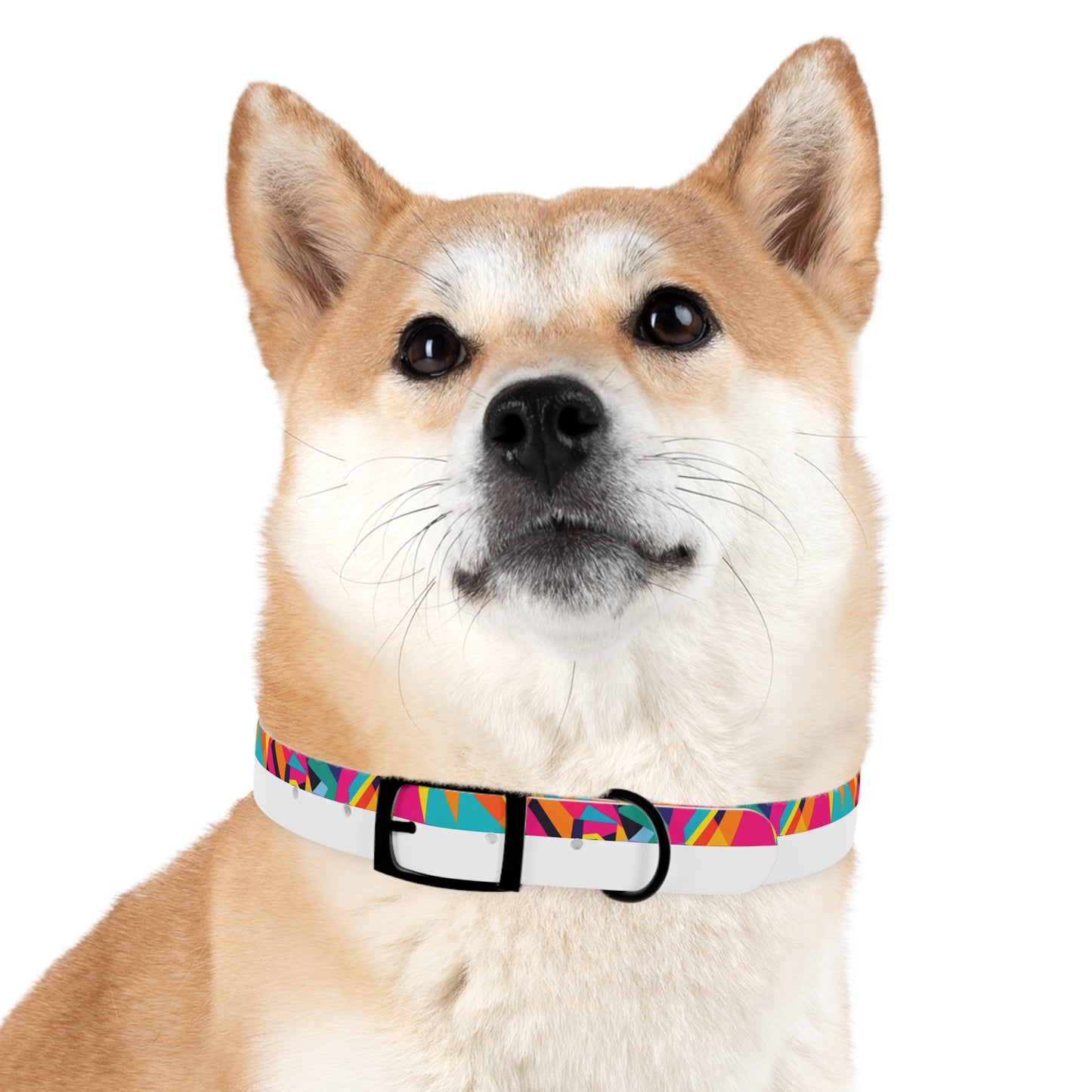 Kaleido Charm Dog Collar