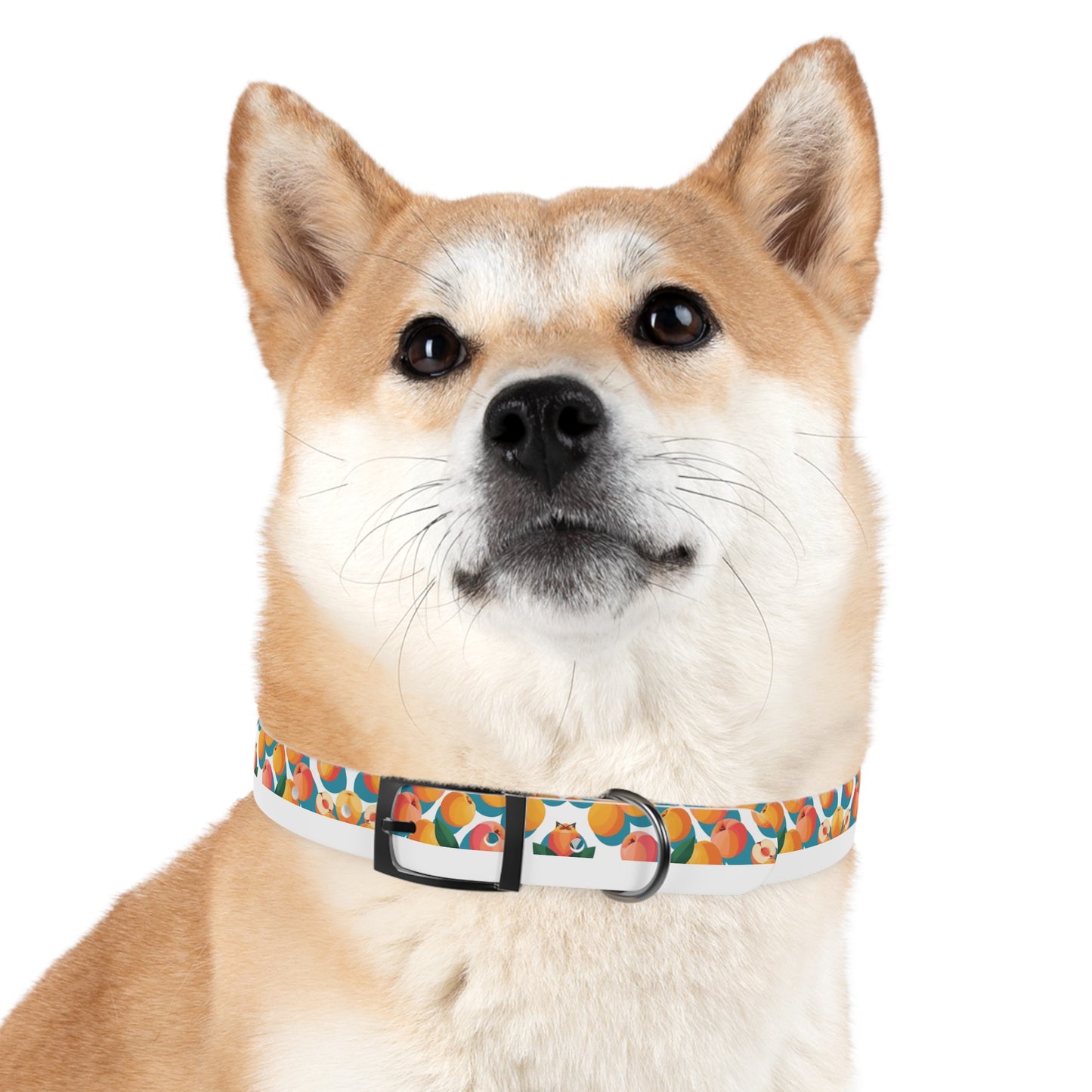 Peachy Keen Dog Collar