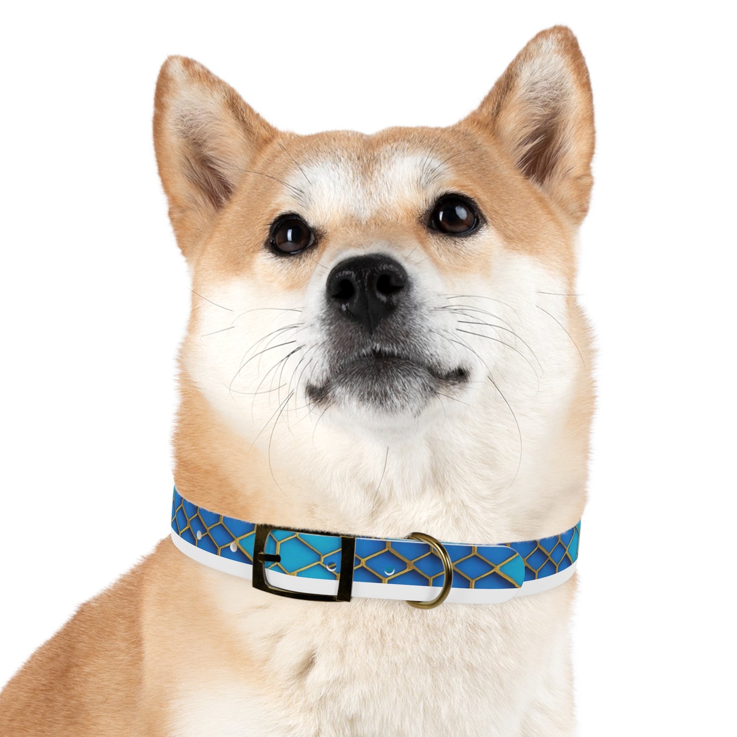 Hexagonal Harmony Dog Collar