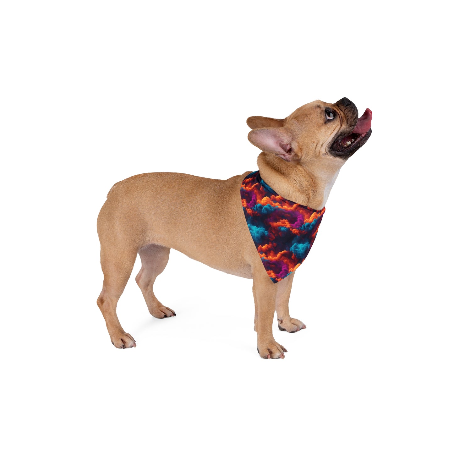 Haxy Harmony Pet Bandana