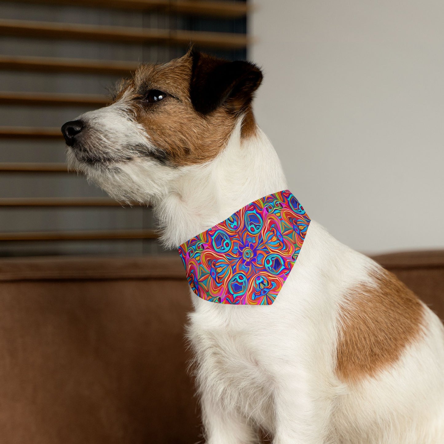 Psychedelic Spectrum Pet Bandana Collar