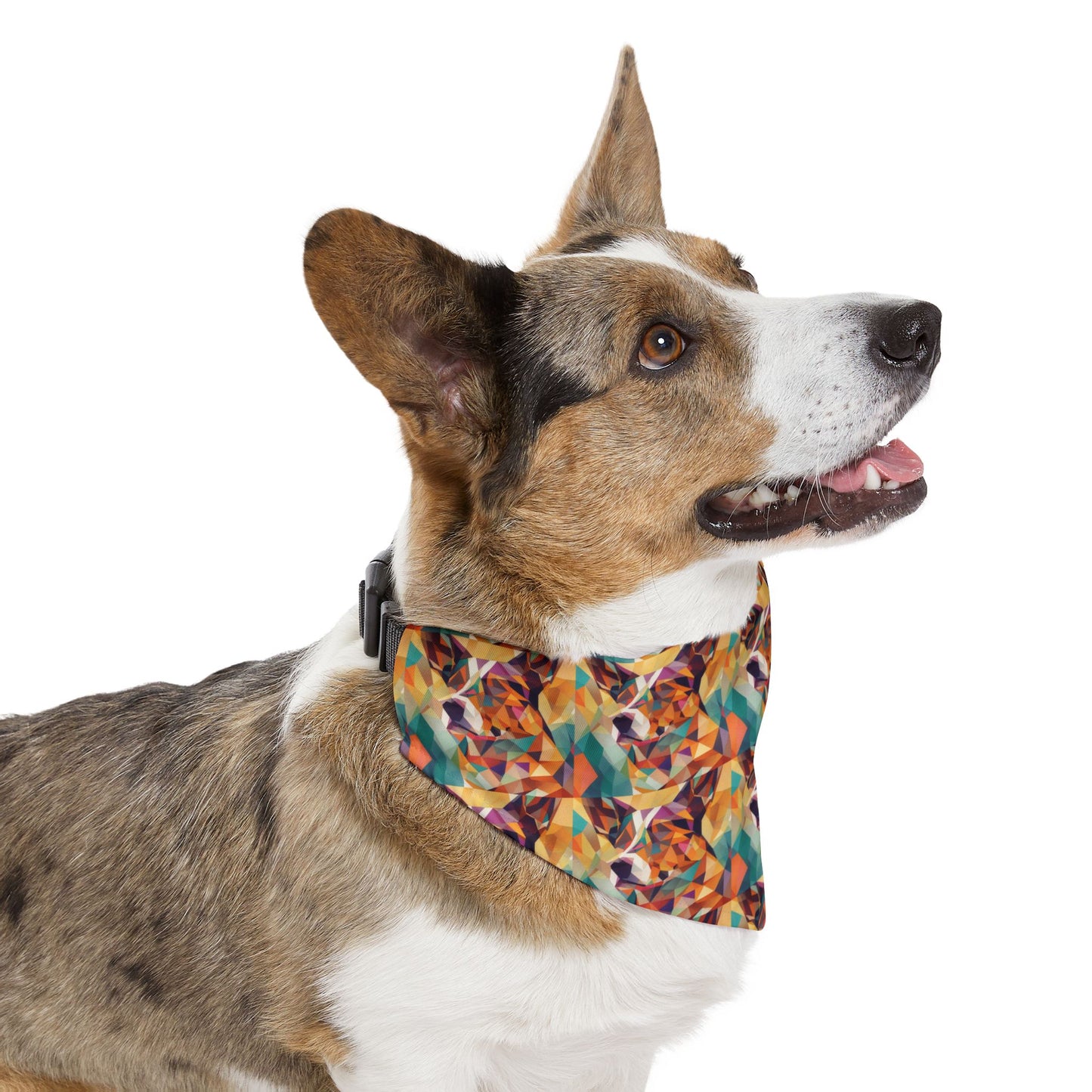 Doggy Dimensions Pet Bandana Collar