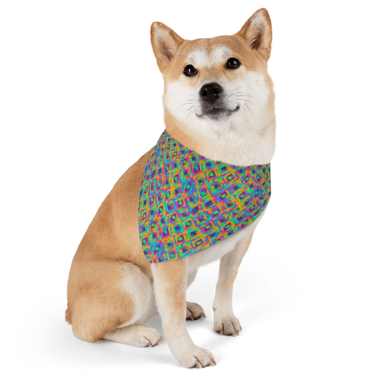 Radiant Reflections Pet Bandana Collar