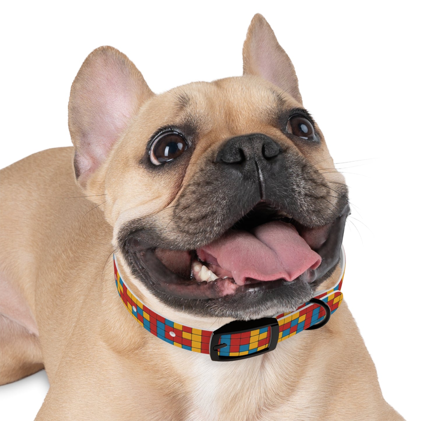 Modular Mirage Dog Collar