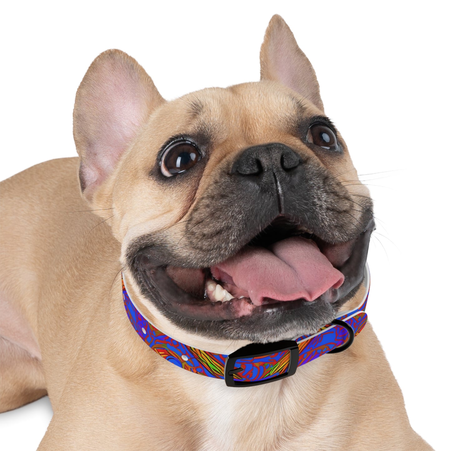 Brilliant Blend Dog Collar