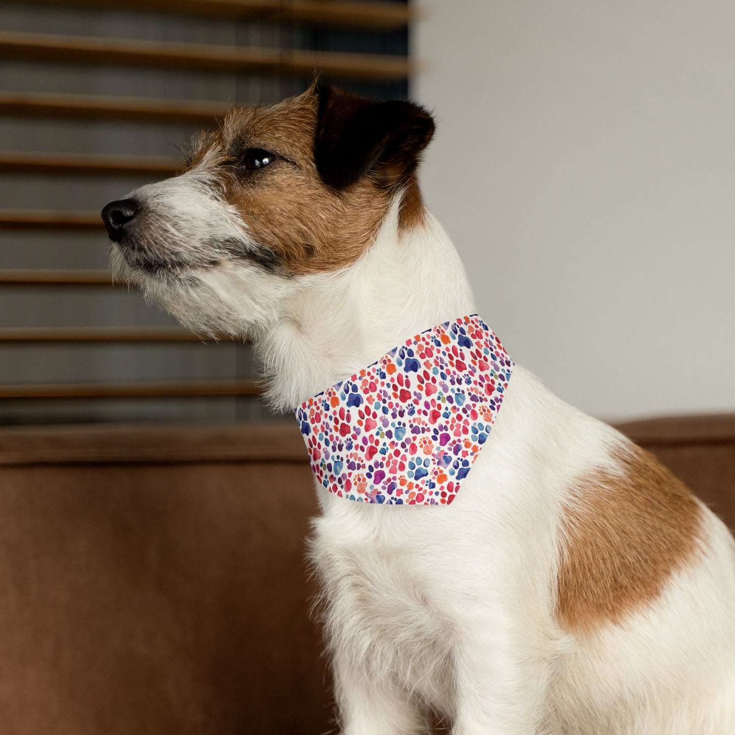 Paw Parade Pet Bandana Collar