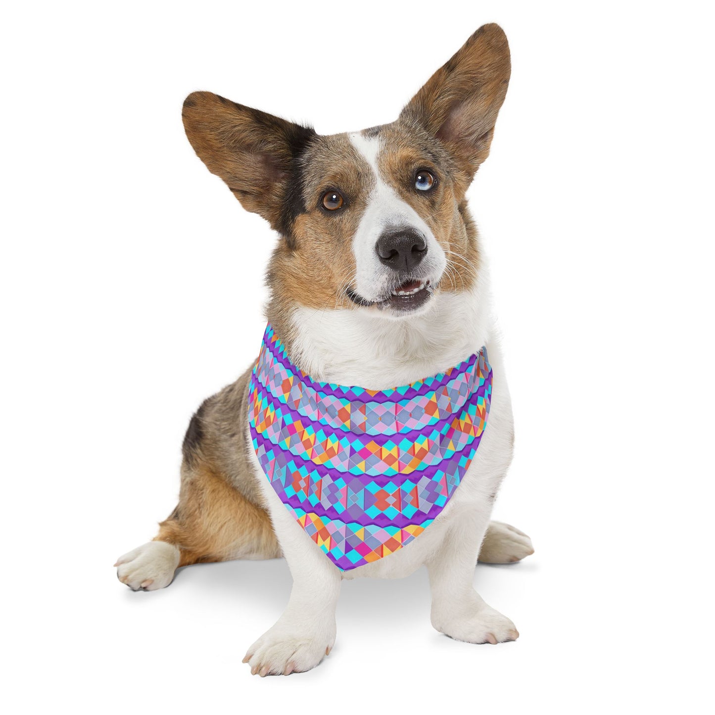 Prismatic Patterns Pet Bandana Collar