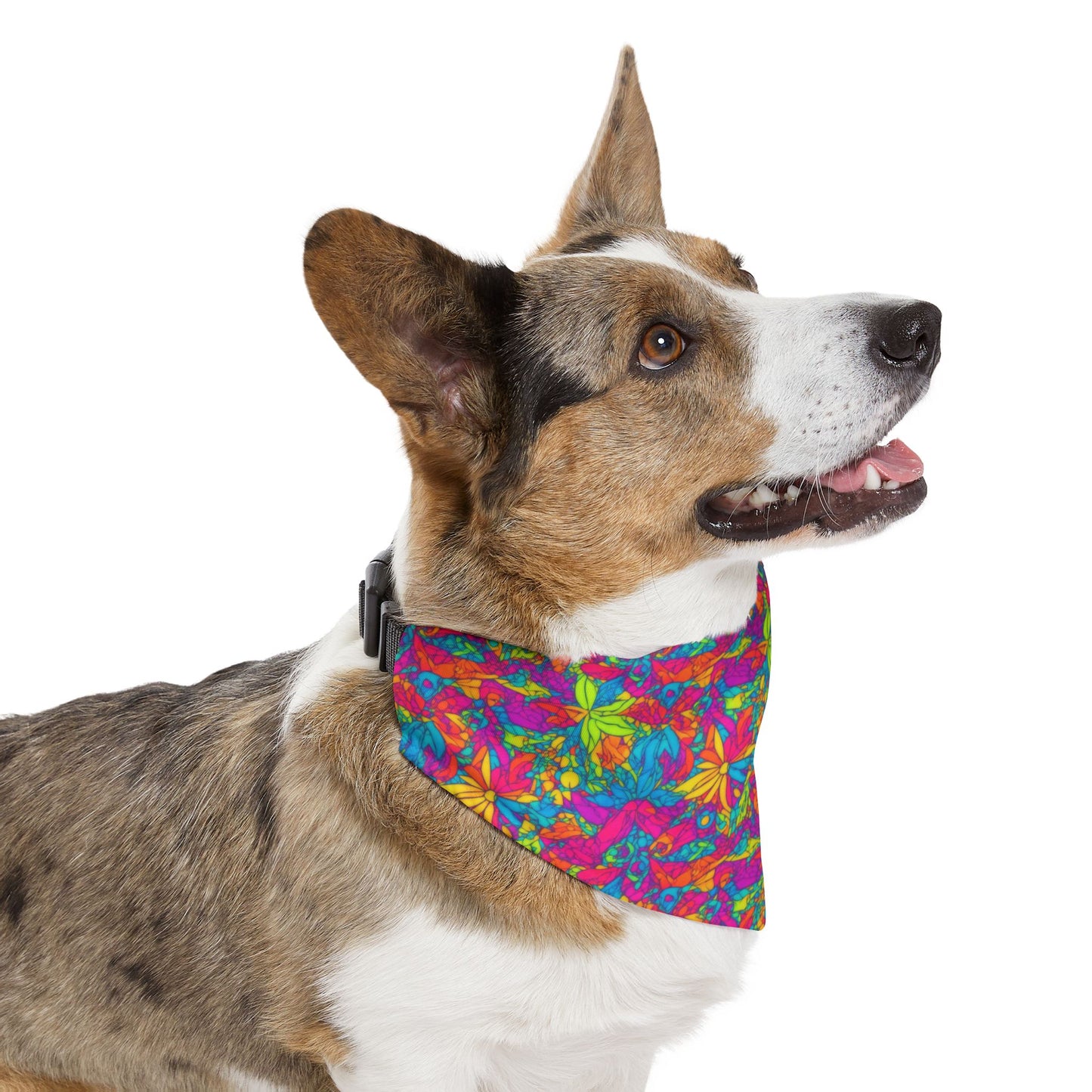 Groovy Geometrics Pet Bandana Collar