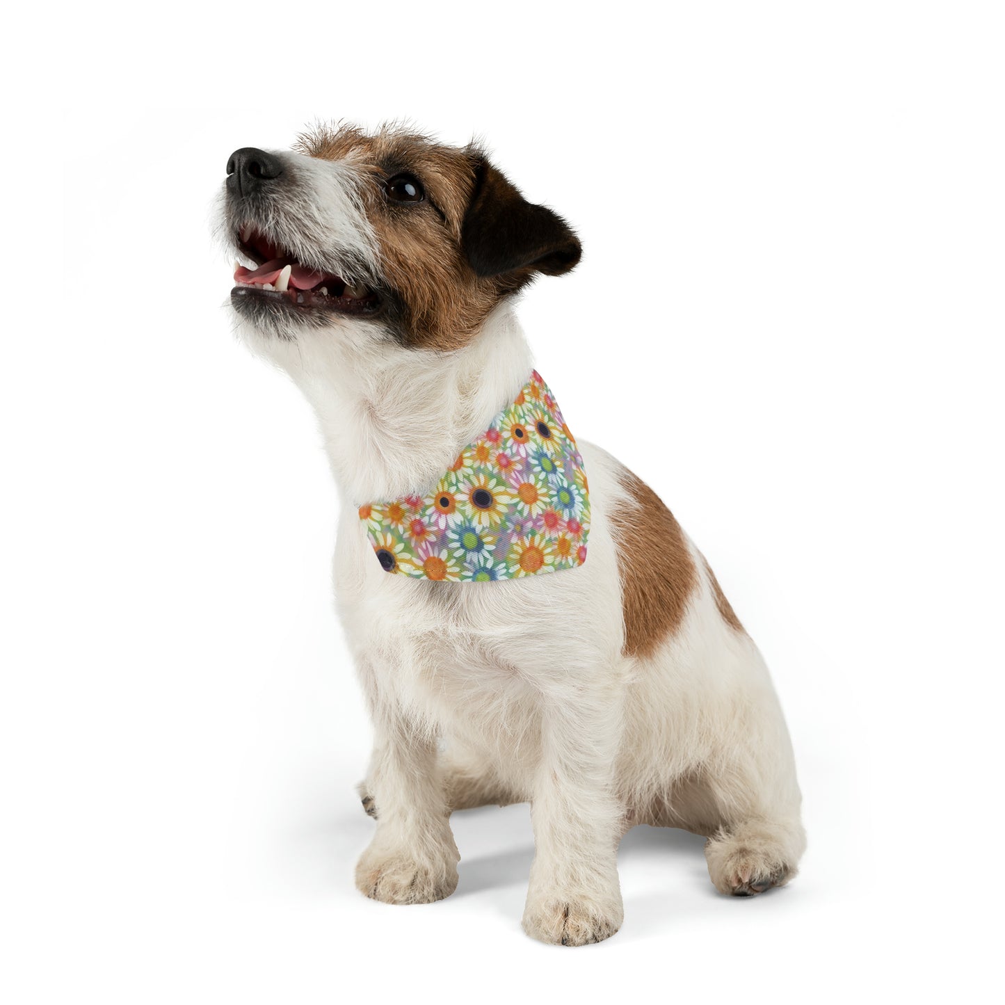 Summer Daisy Watercolor Pattern Pet Bandana Collar