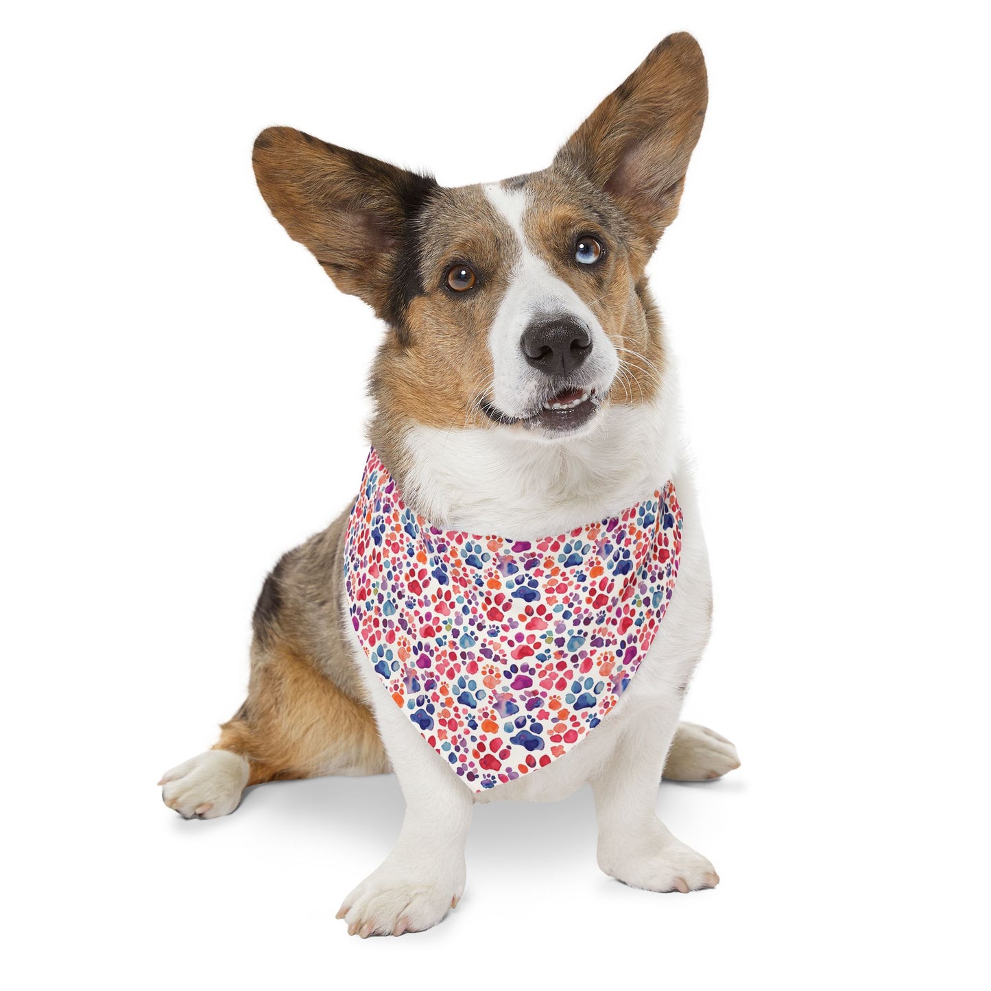 Paw Parade Pet Bandana Collar