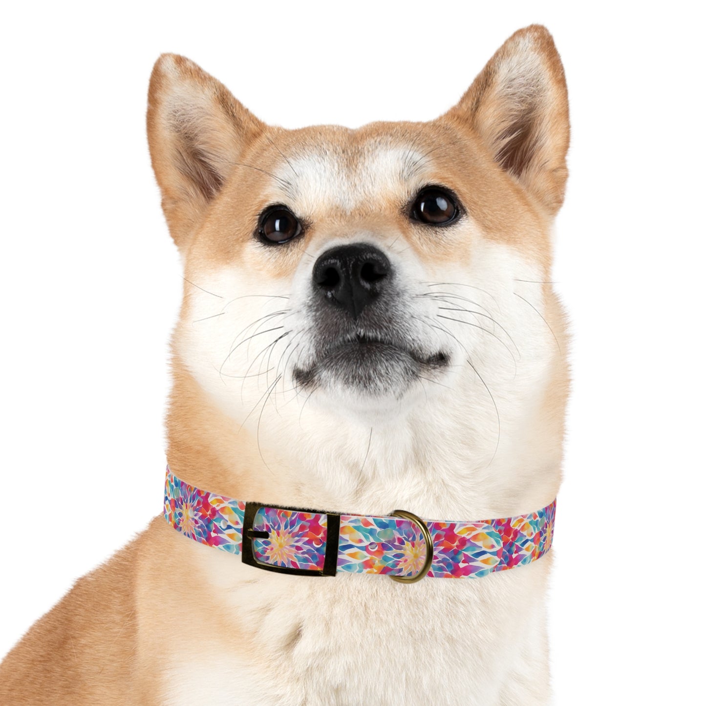 Bright Mandala Watercolor Pattern Dog Collar