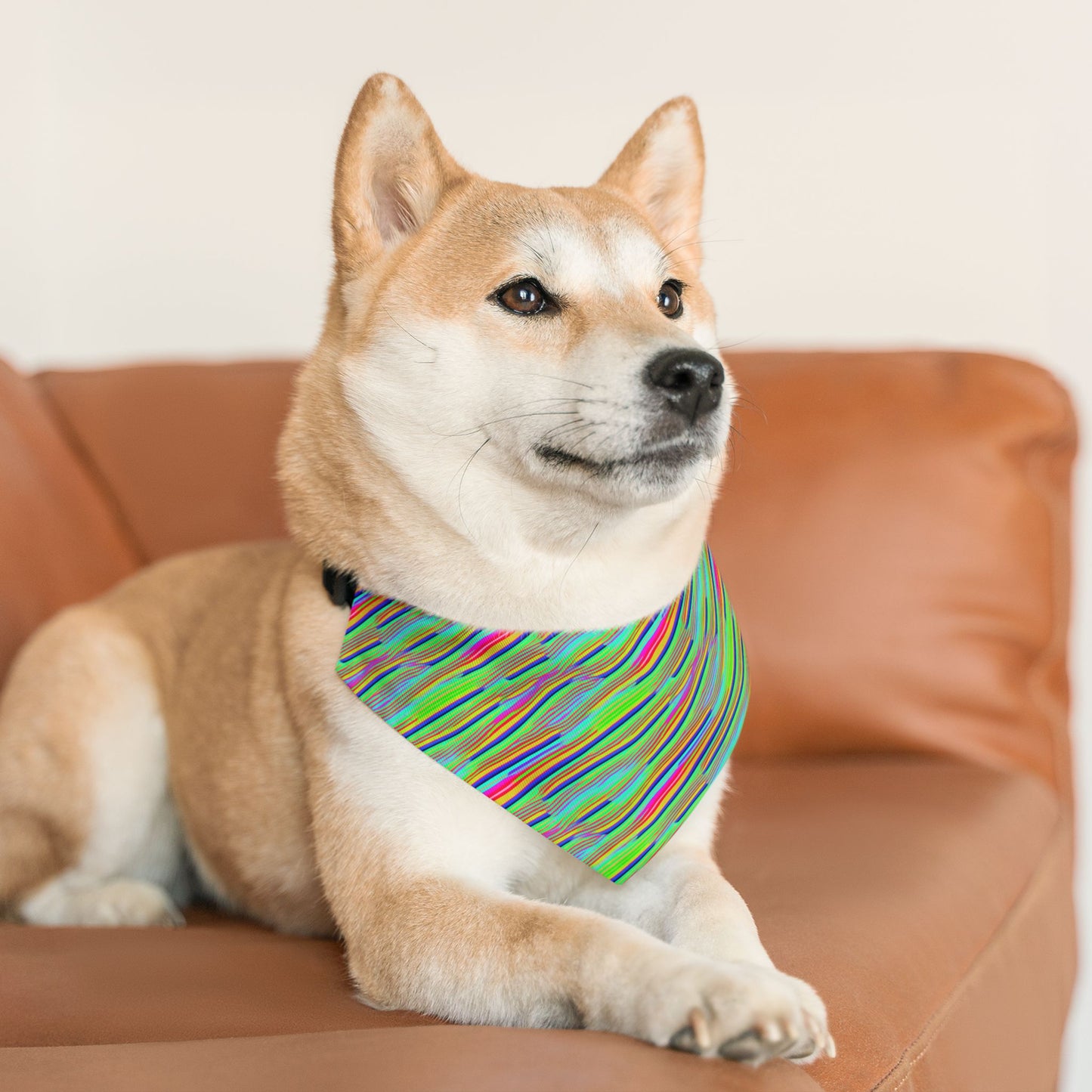 Neon Edges Pet Bandana Collar