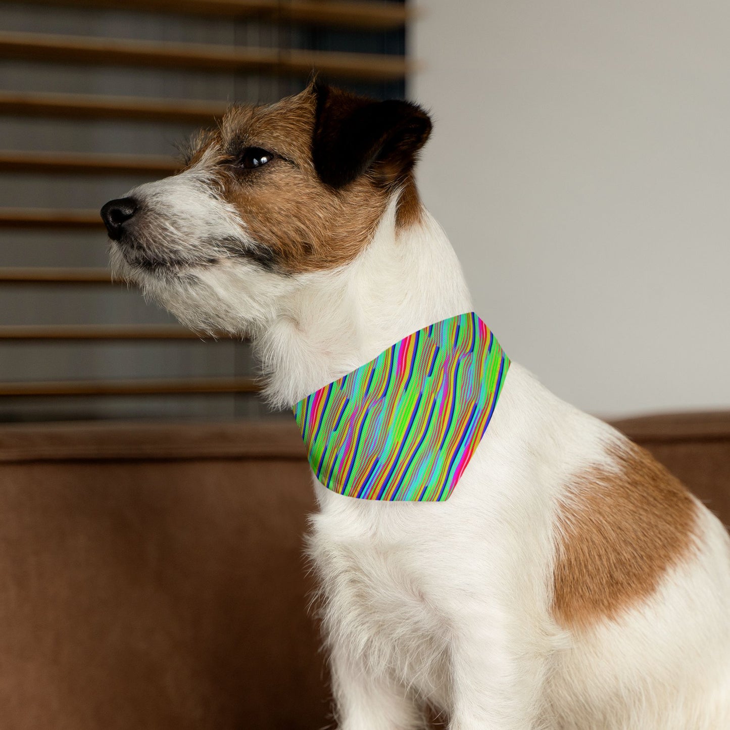 Neon Edges Pet Bandana Collar