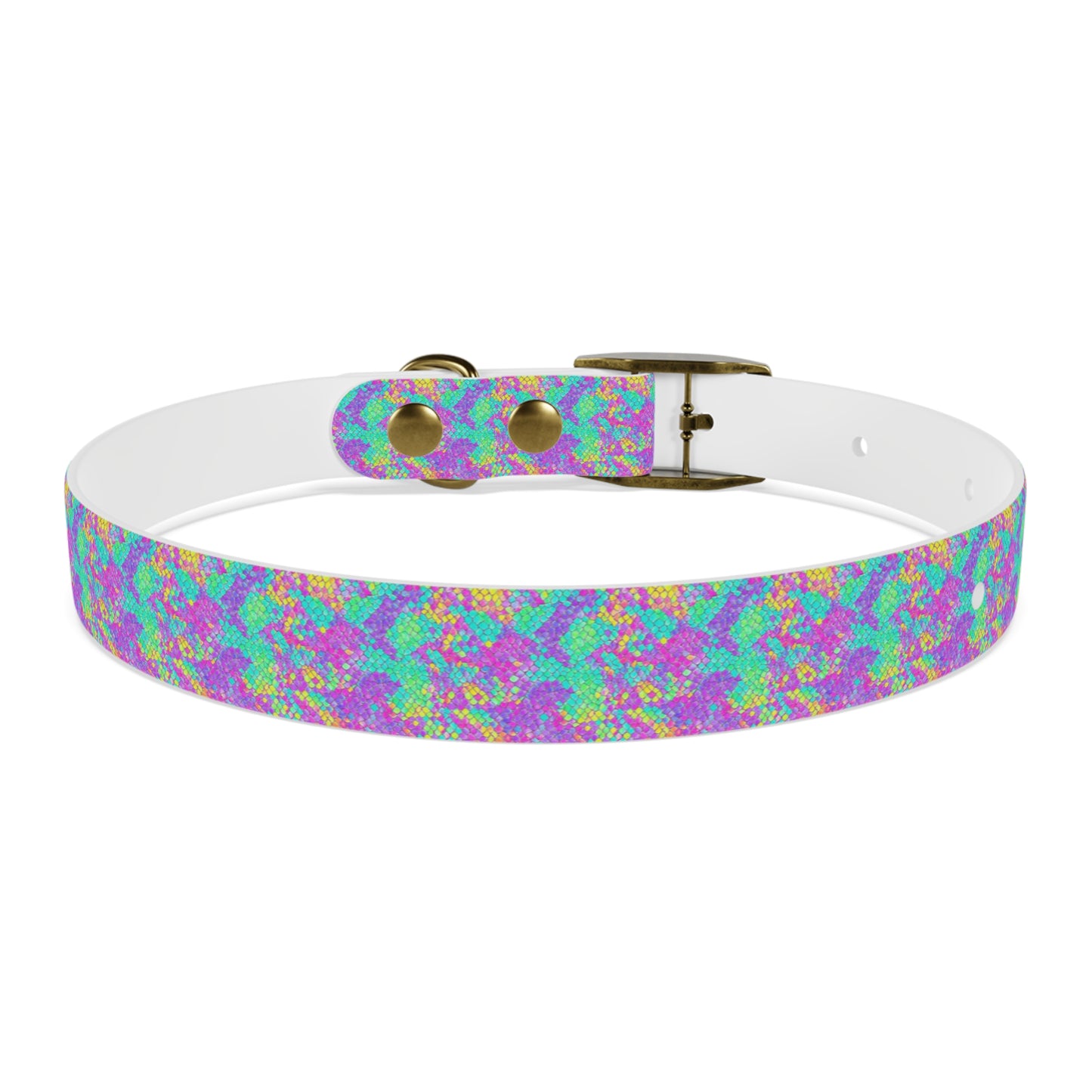 Fluid Fusion Dog Collar