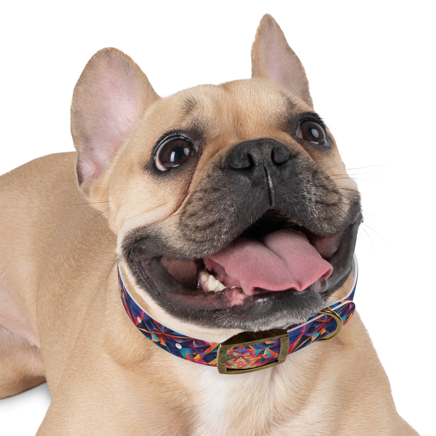 Kaleido Magic Dog Collar