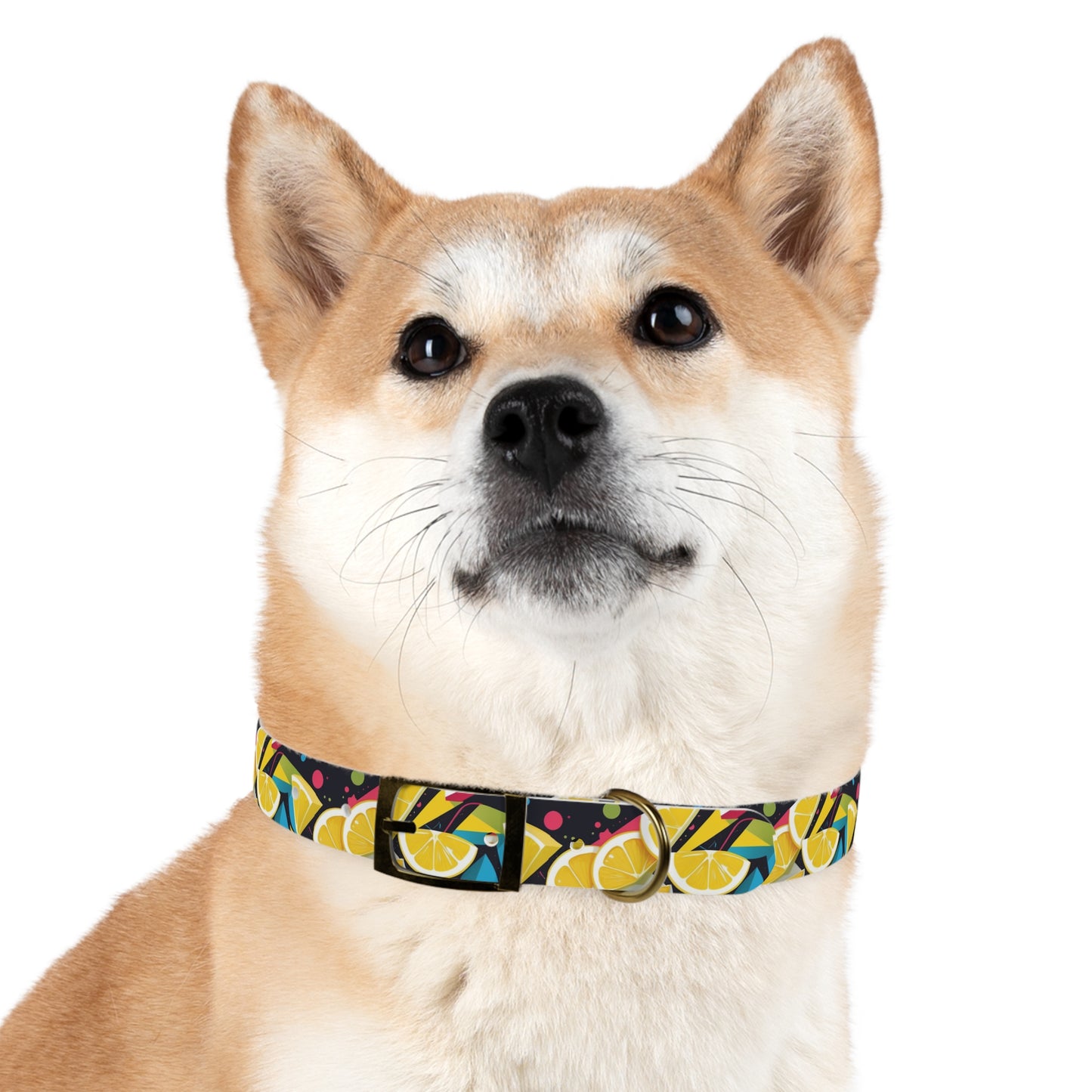 Lemon Zest Dog Collar