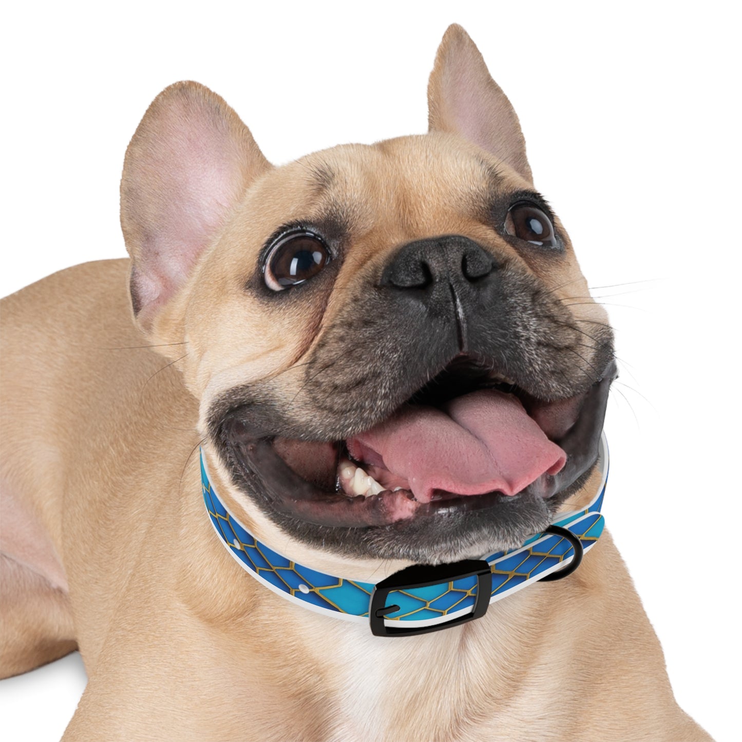 Hexagonal Harmony Dog Collar