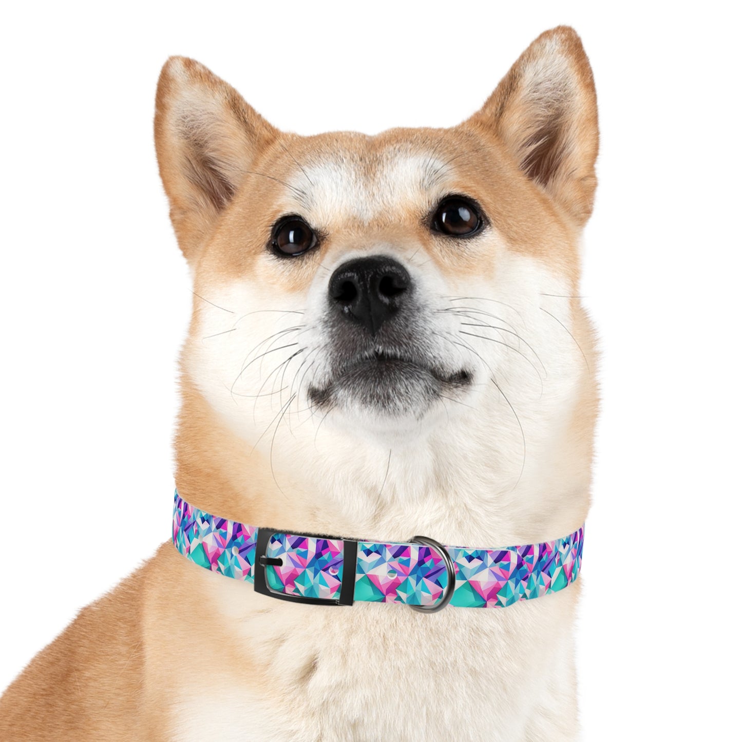 Fractal Flair Dog Collar