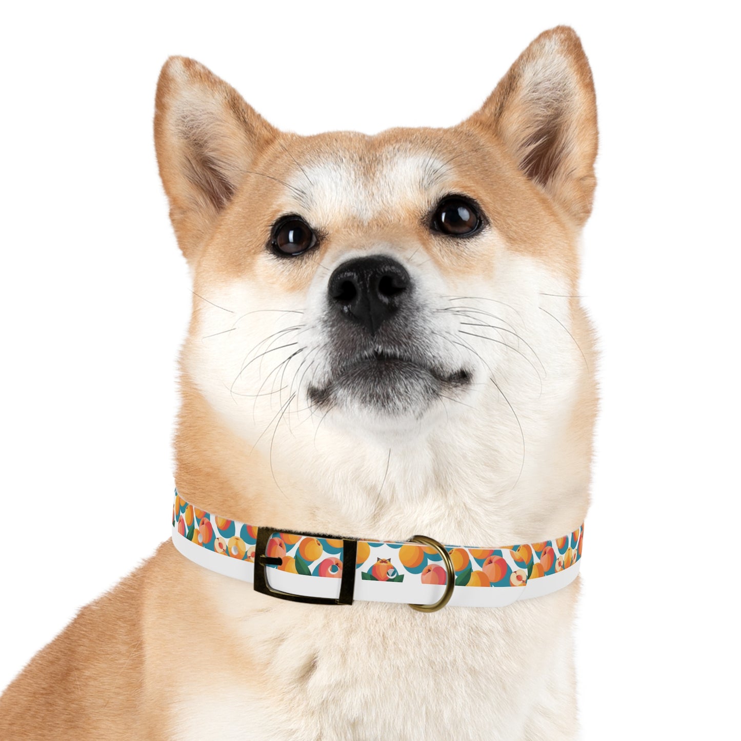 Peachy Keen Dog Collar