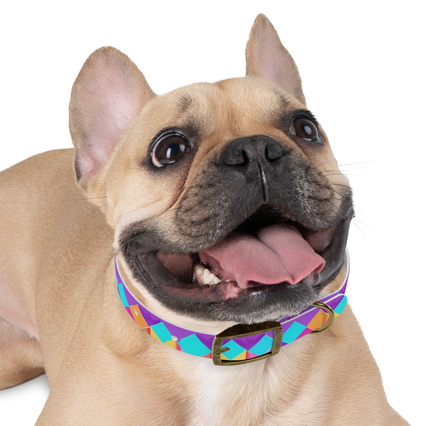 Prismatic Patterns Dog Collar