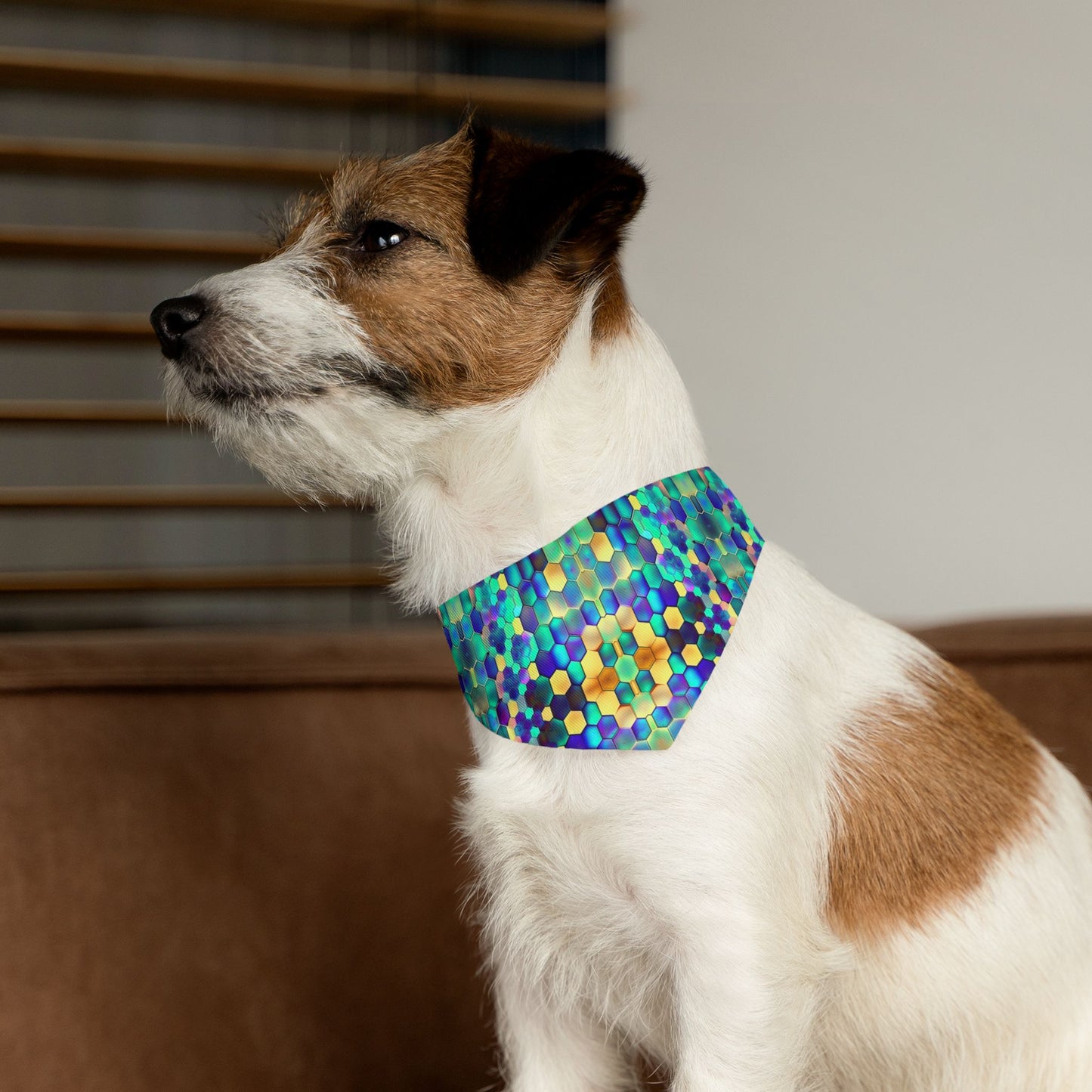 Vibrant Comb Pet Bandana Collar