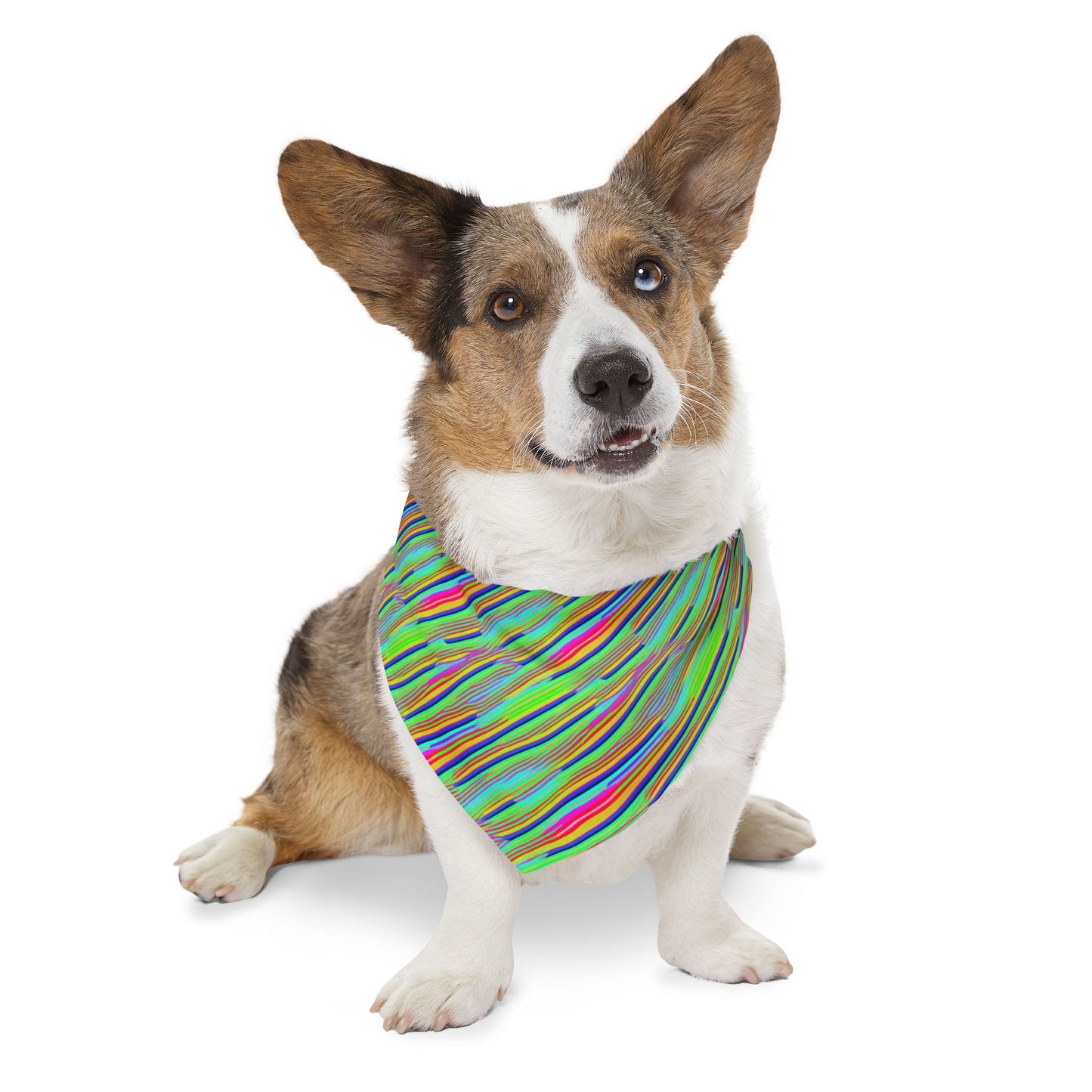 Neon Edges Pet Bandana Collar