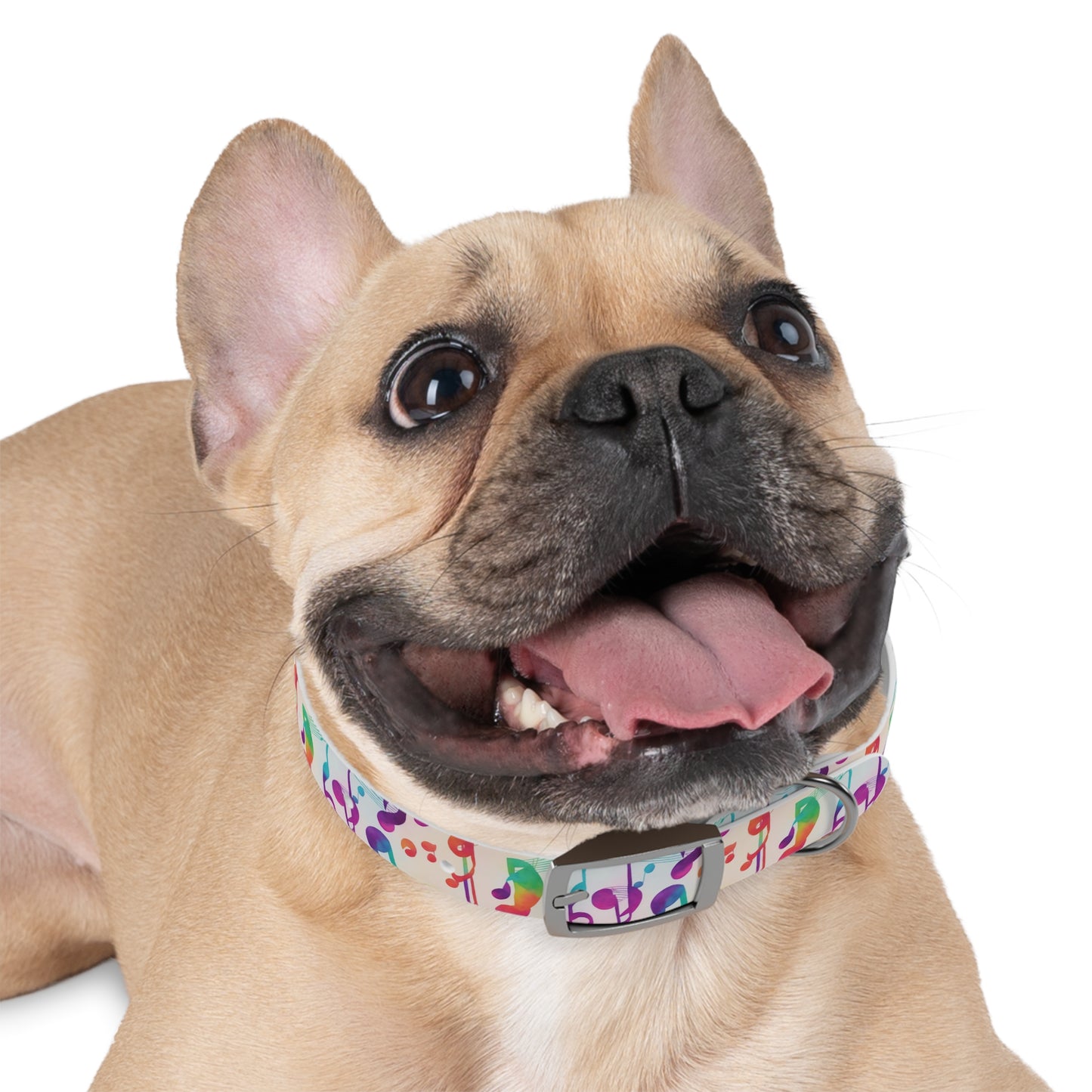 Vivid Vibrato Dog Collar