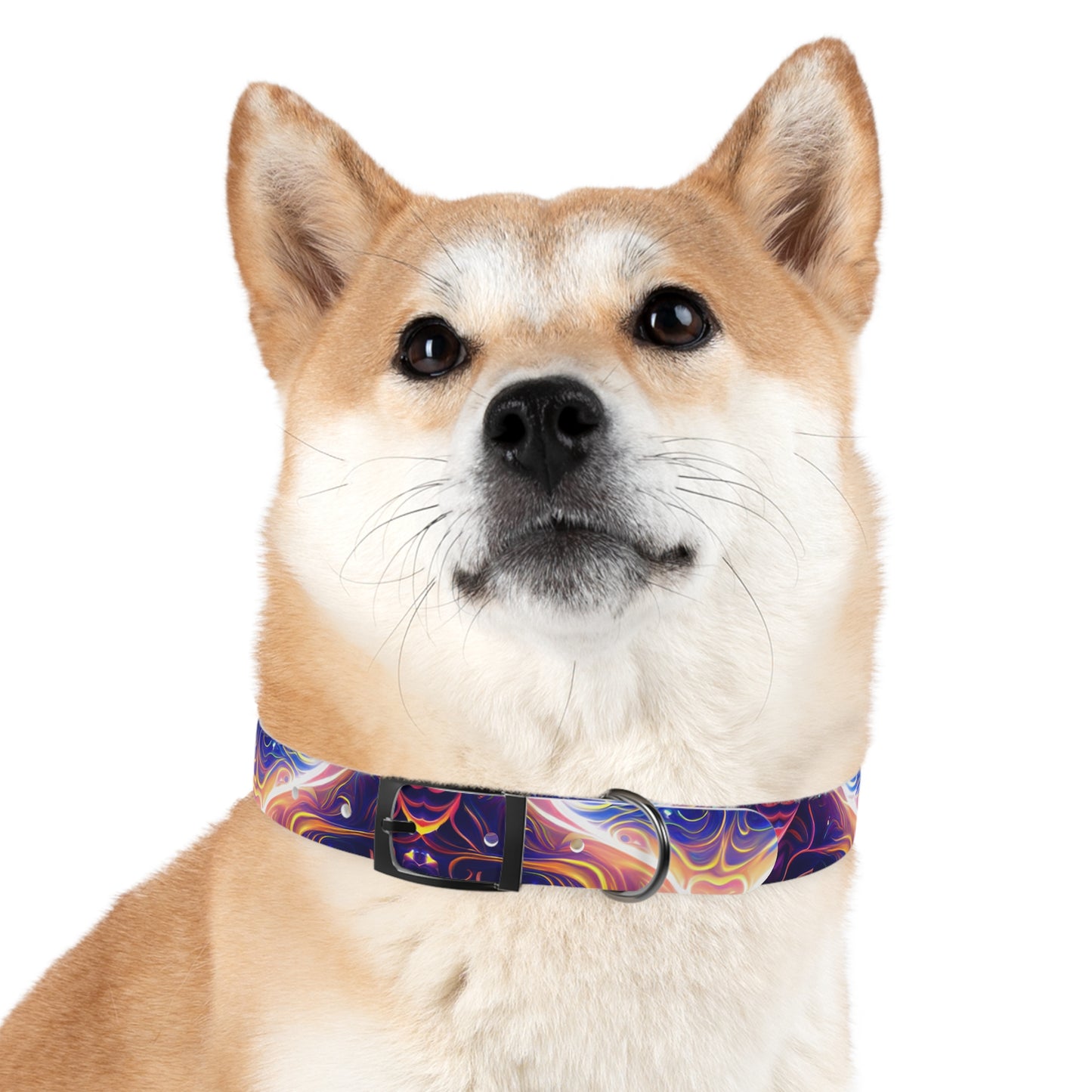 Neon Dreamscape Dog Collar