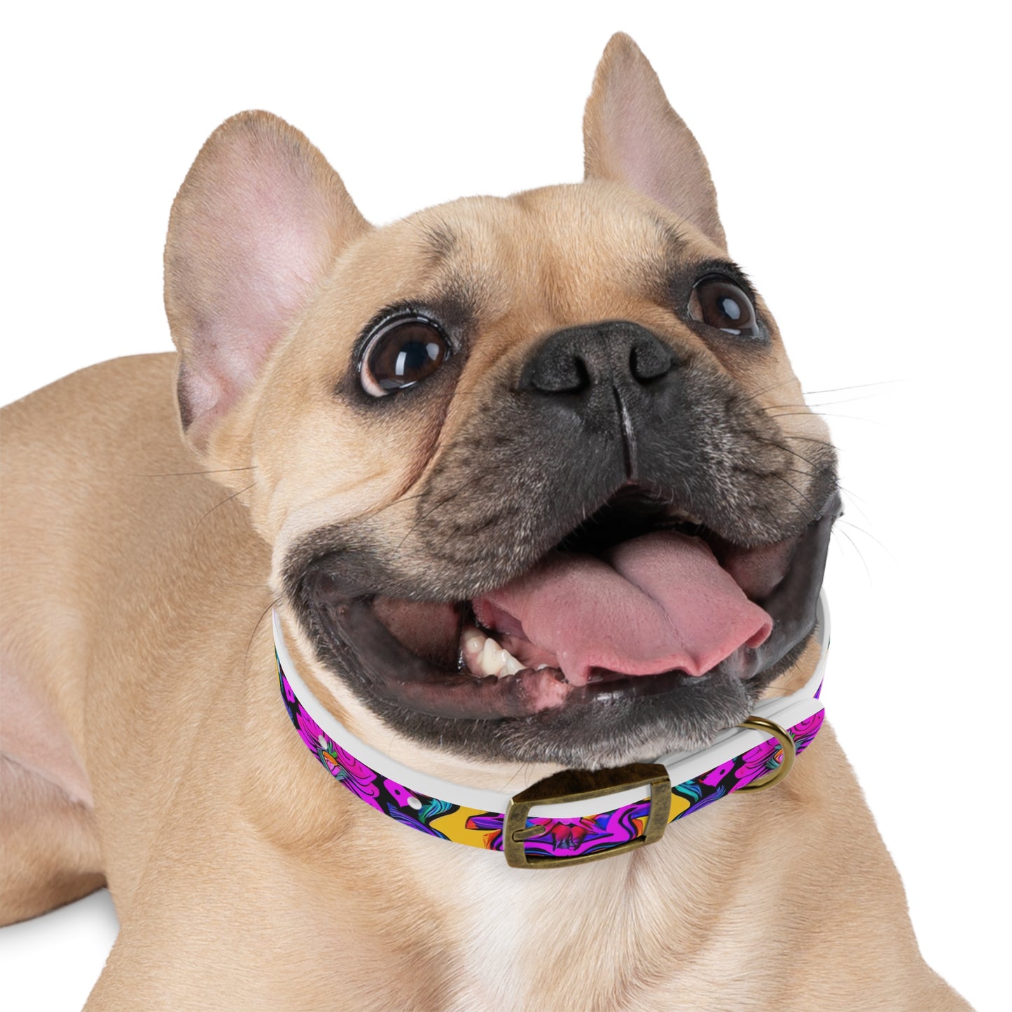 Vibrant Illusions Dog Collar