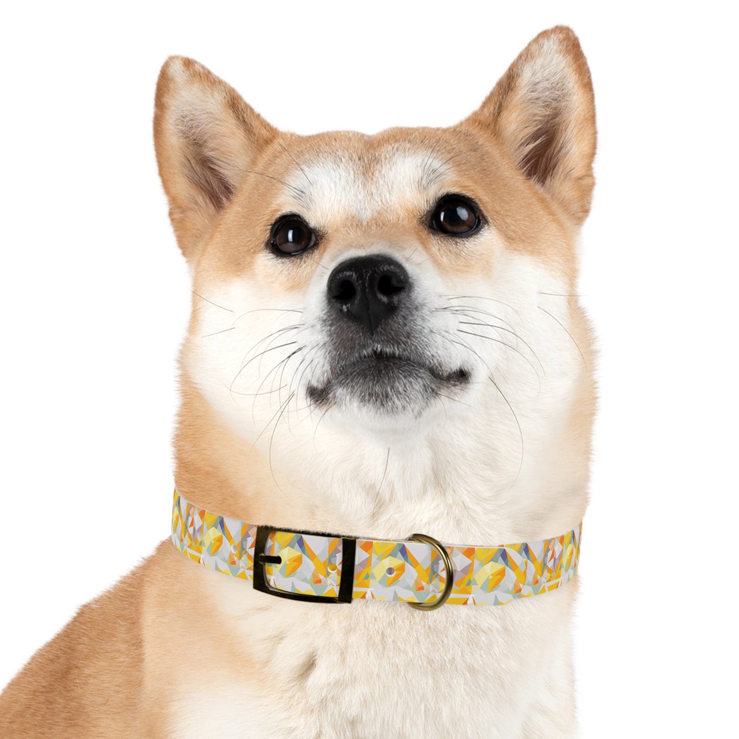 Polygon Prism Dog Collar