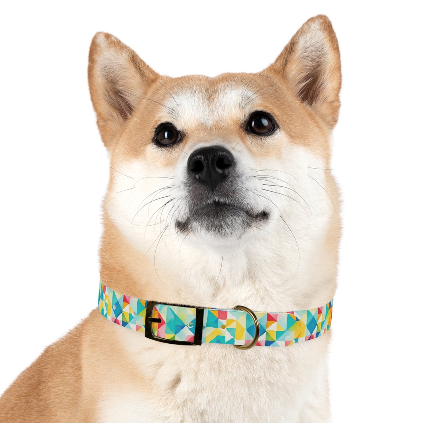 Mosaic Mirage Dog Collar