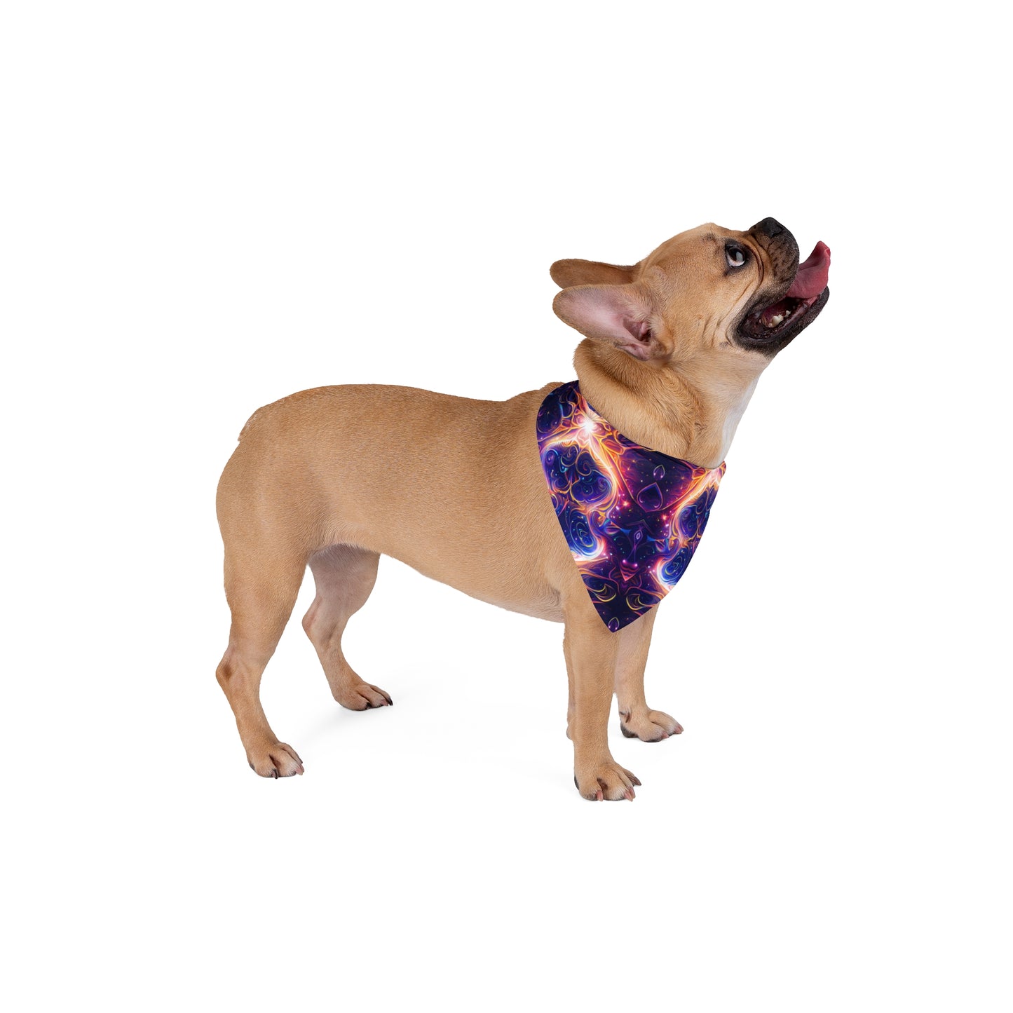 Neon Dreamscape Pet Bandana