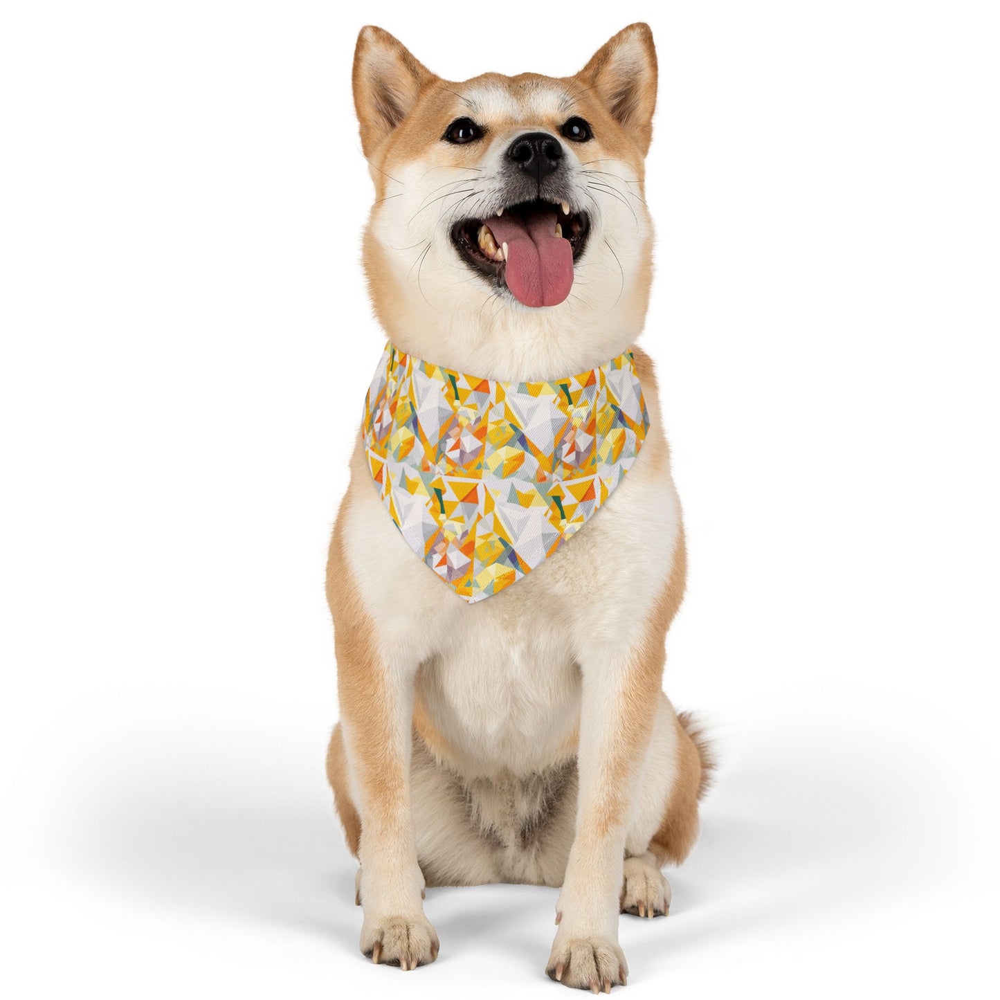 Polygon Prism Pet Bandana Collar