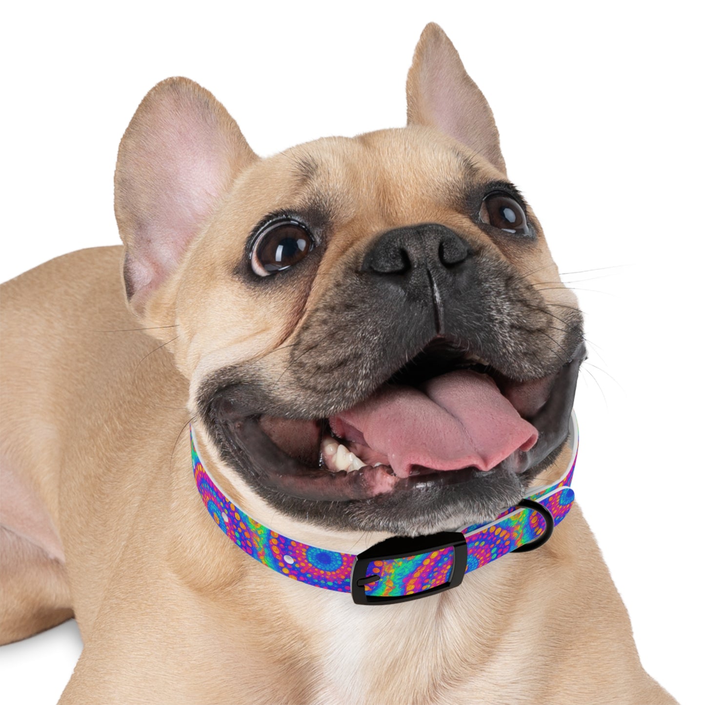 Poly Glow Dog Collar