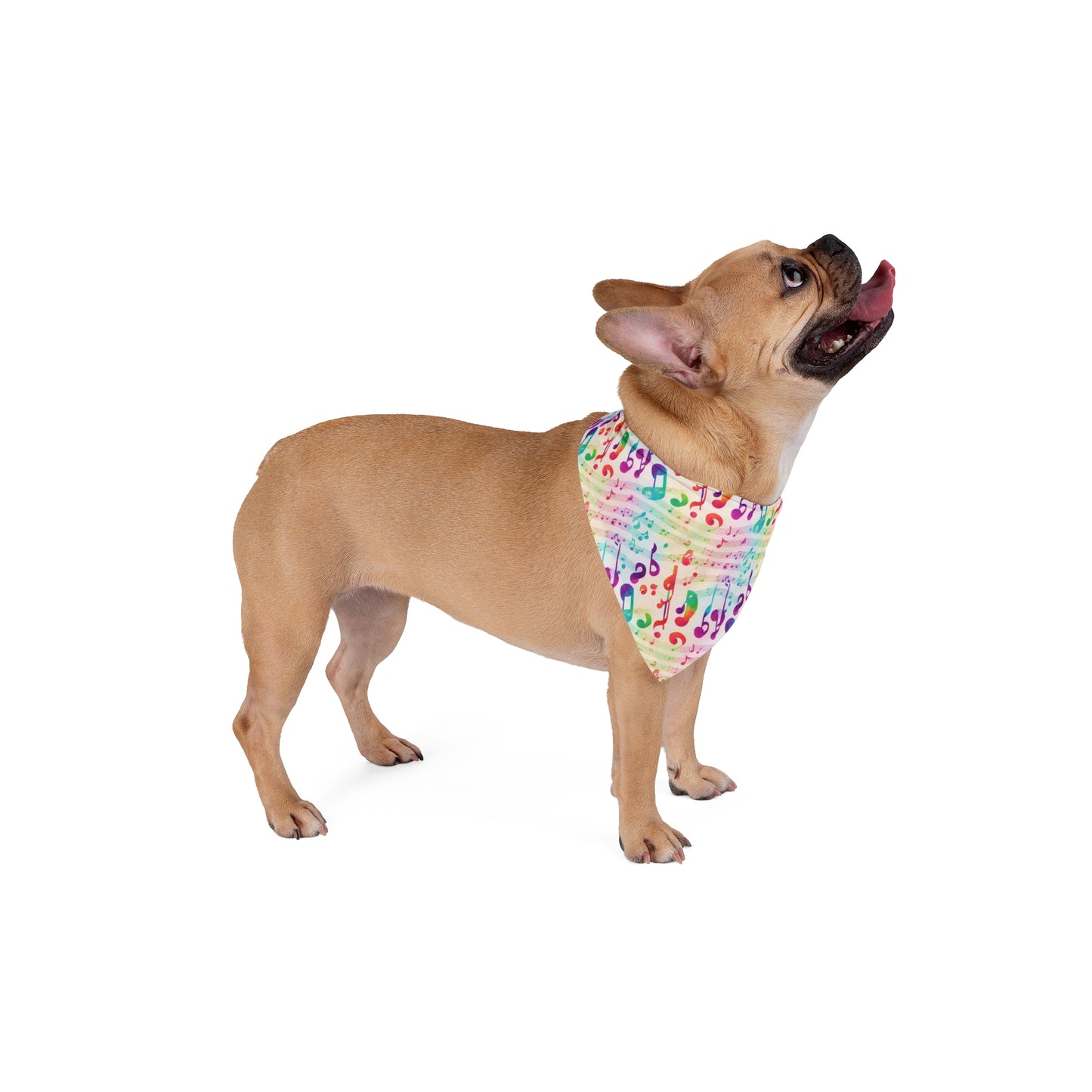 Vivid Vibrato Pet Bandana