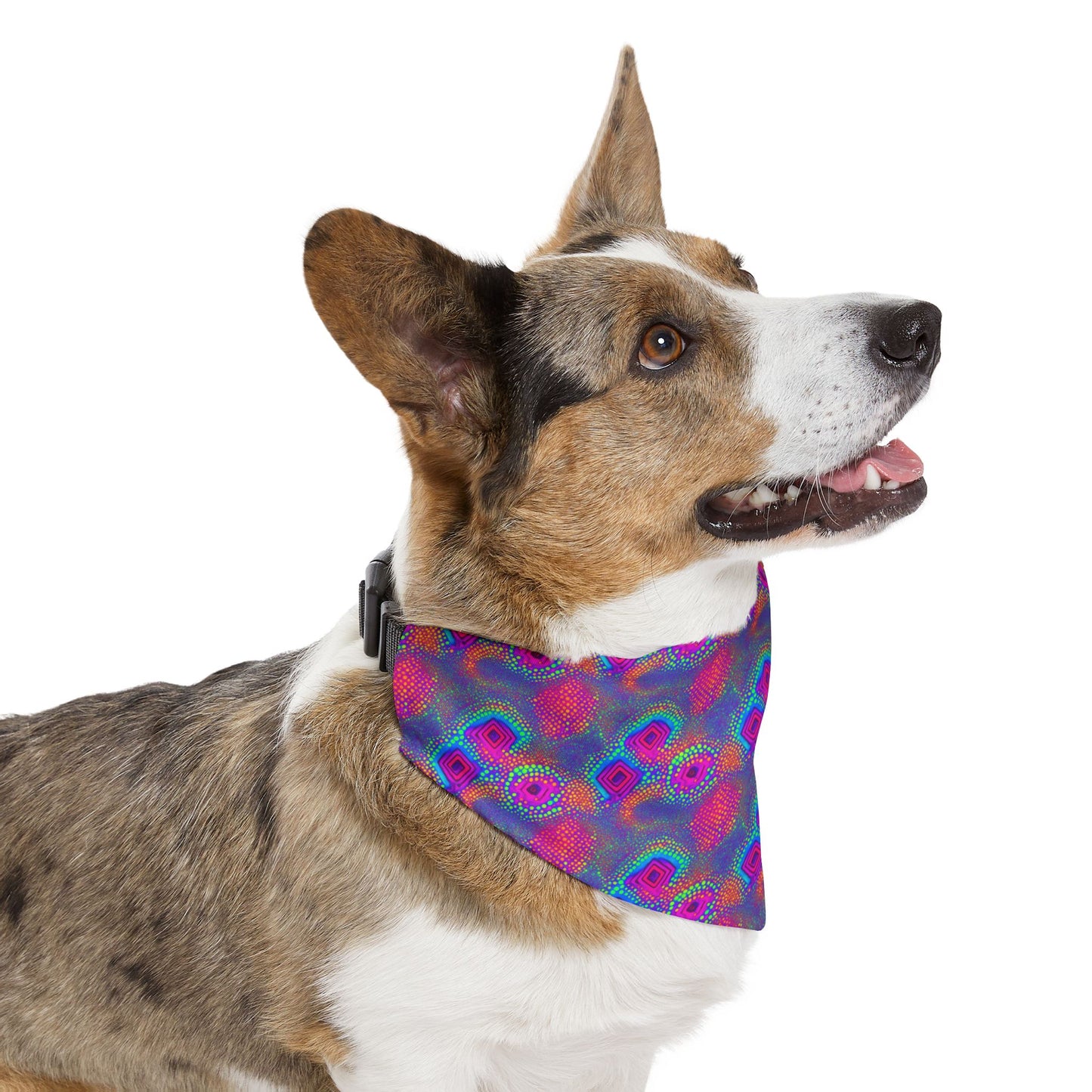 Chroma Chic Pet Bandana Collar